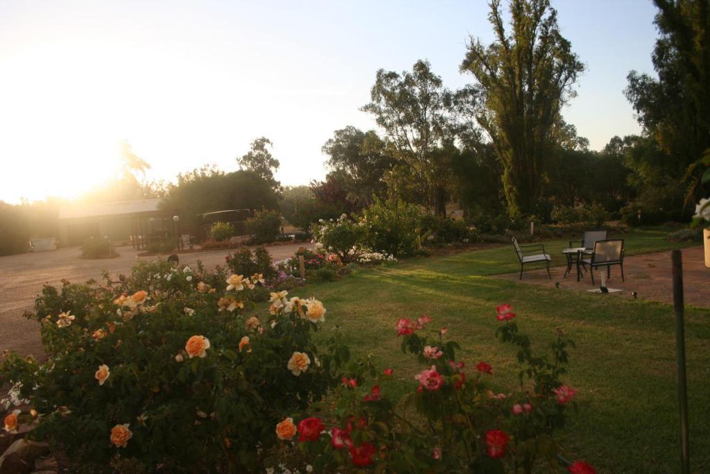 Newell Motor Inn Narrandera Luaran gambar